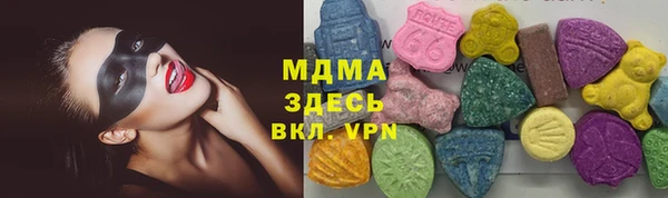 гашик Алексин
