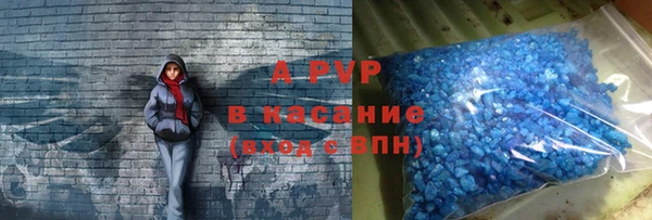гашик Алексин