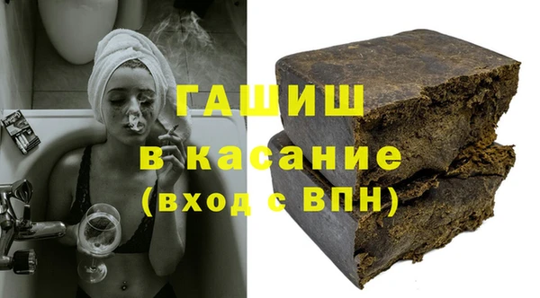 гашик Алексин