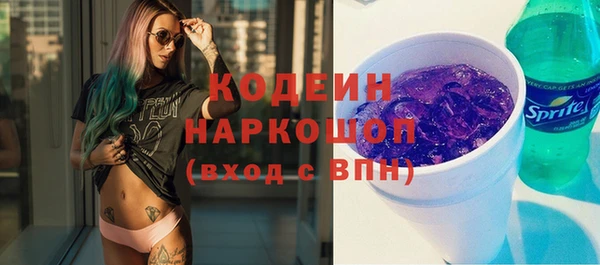 гашик Алексин